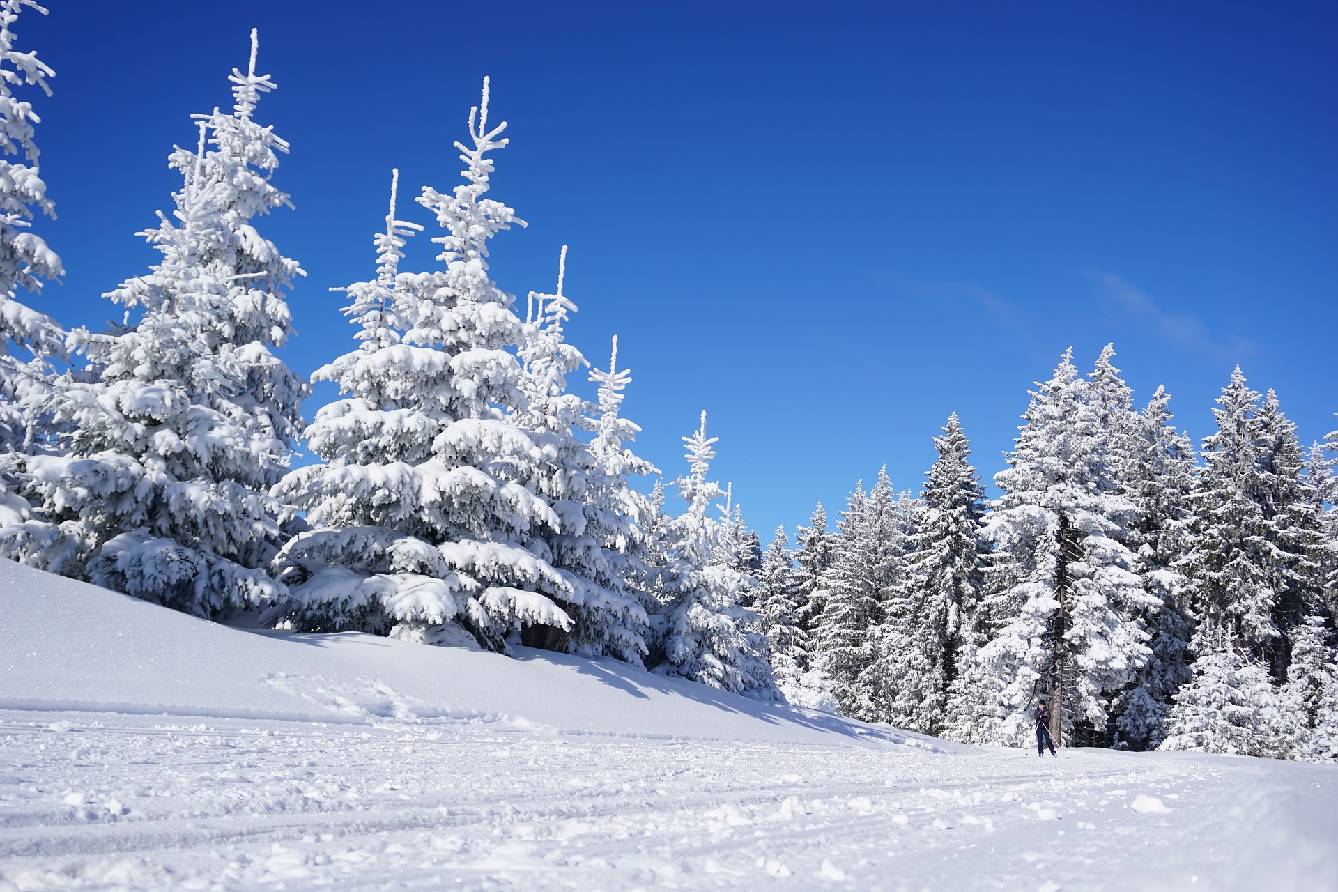ski Čenkovice